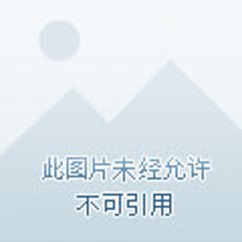 金兰云推广信息发布：打造企业品牌新高度